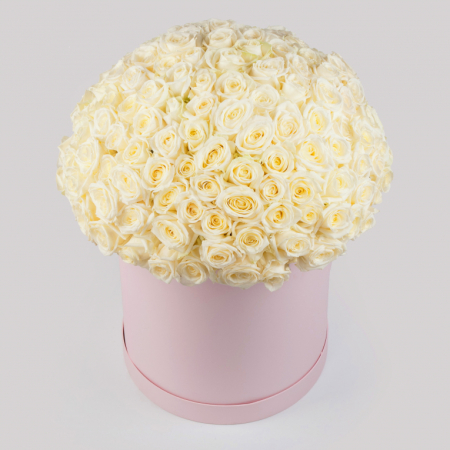 Букет в розовой коробке Нежное сердце (151 роза)