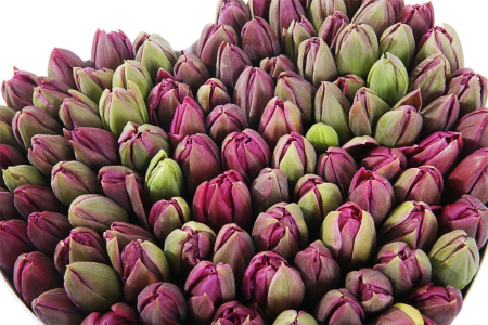 Композиция Весеннее вдохновение (макси), фиолетовая