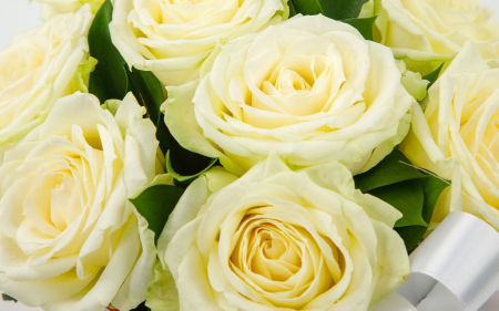 Цветы в коробке 9 роз Мондиаль