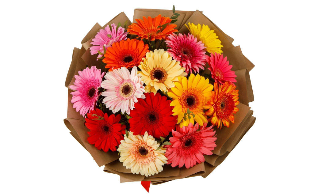 Букет из 15 гербер Маленькие радости