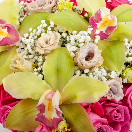 Букет в коробке Сердце тропиков (мини)