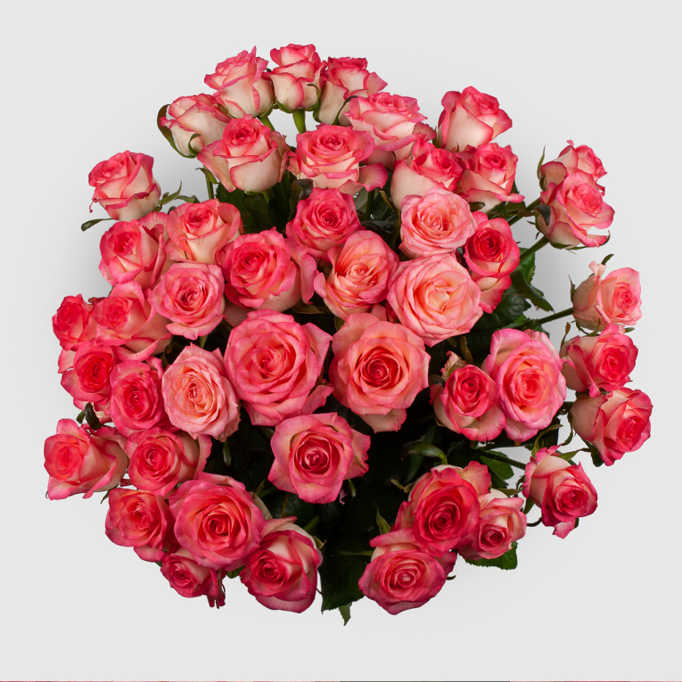 Букет из 45 роз Розовая лагуна