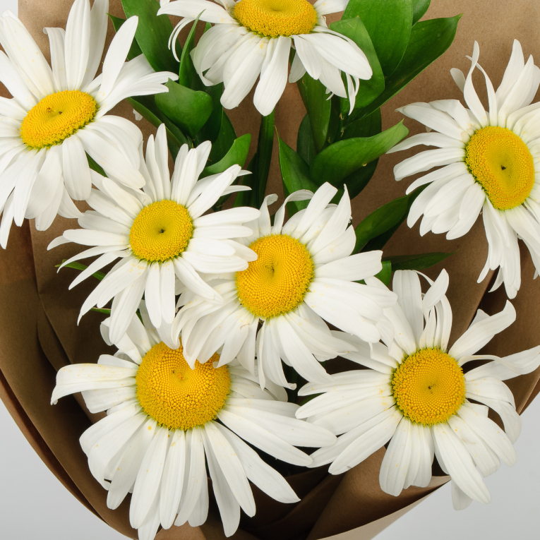 Букет ромашек Полевой цвет (7 шт)