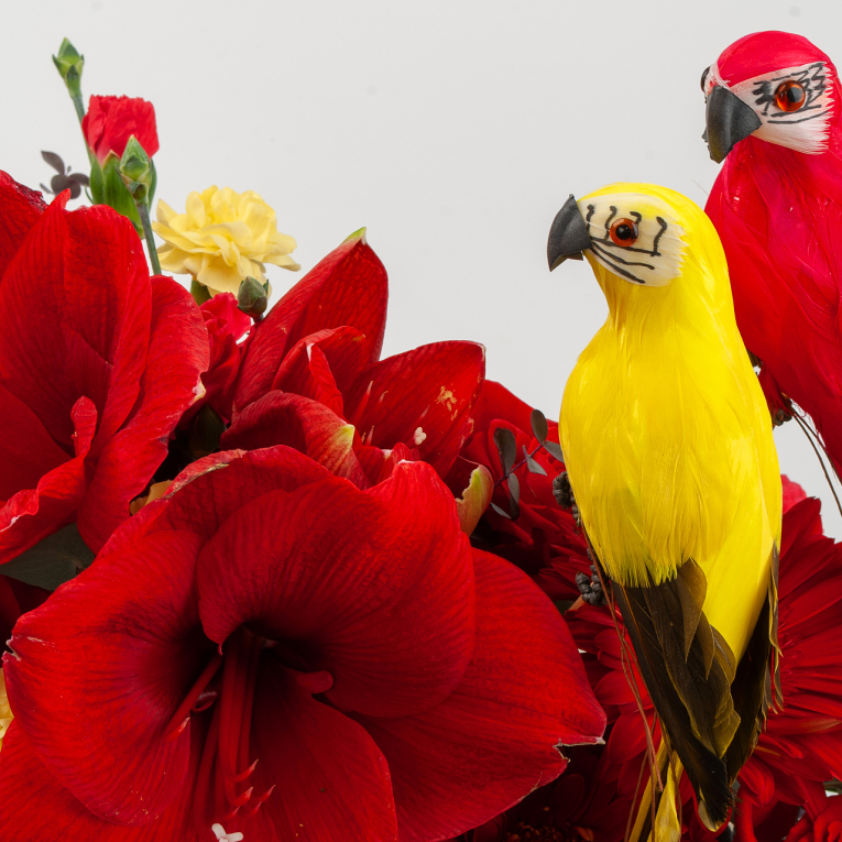 Композиция в кашпо Амазония