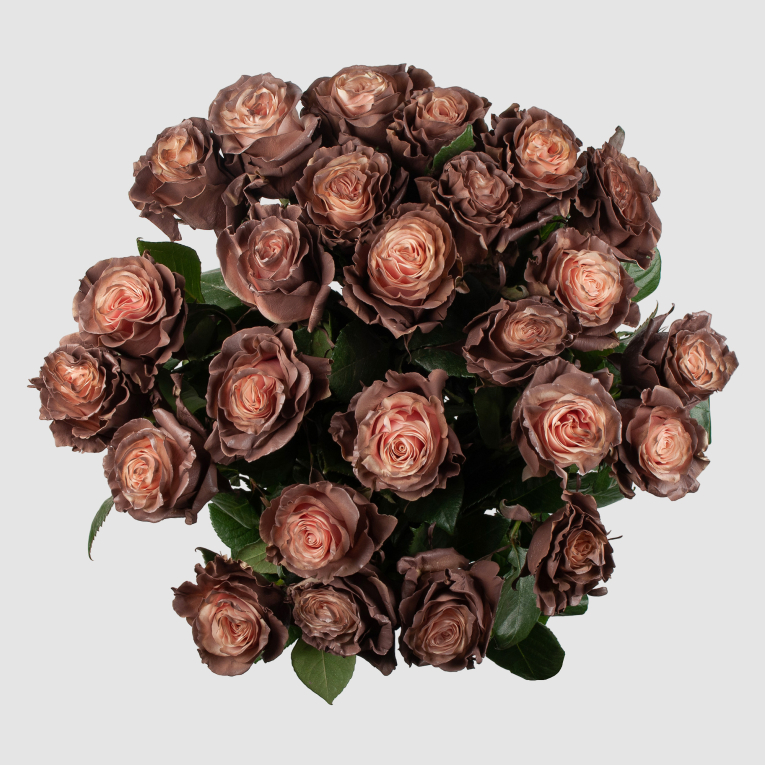 Букет 25 роз Кофе со сливками