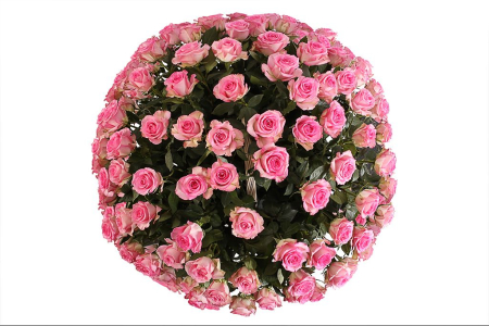 Букет 101 роза Свит Юник в корзине