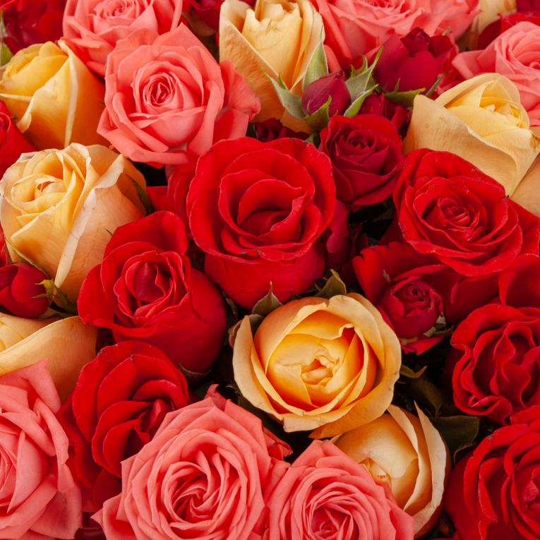 Букет роз Удовольствие любви