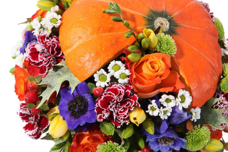 Композиция Осеннее солнце