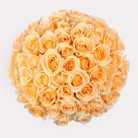 Букет в белой коробке Утренняя соната (51 роза)