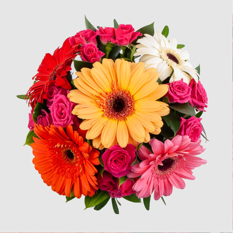 Композиция в кашпо Радужный мост