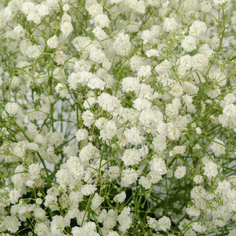 Букет в кашпо Белый шум