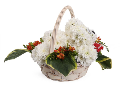 Медведь с сердцем