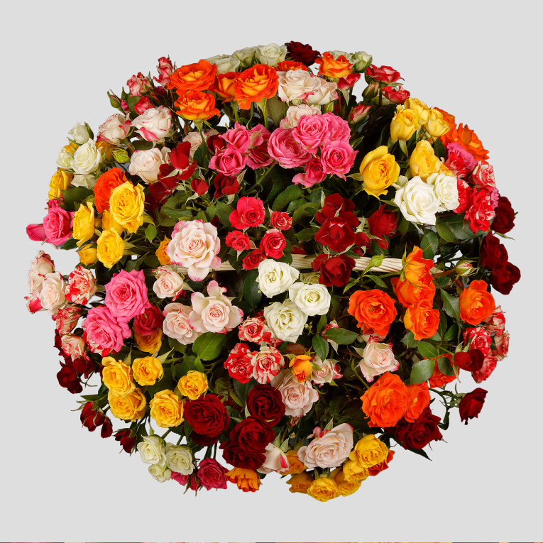 Букет роз 50 первых поцелуев в корзине