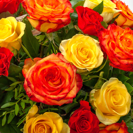 Букет Большая Вселенная в корзине