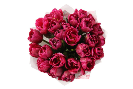 Букет 25 королевских тюльпанов, малиновые