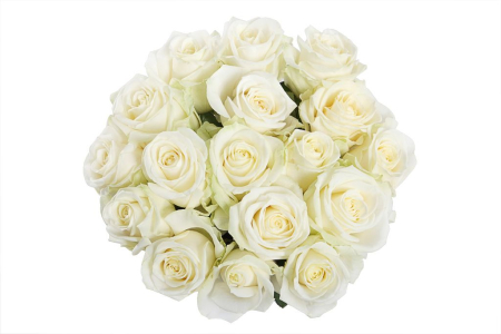 Букет 17 роз Аваланш 60/70 см