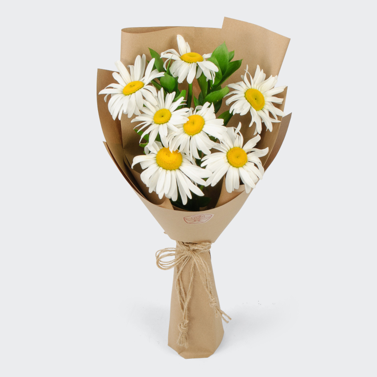 Букет ромашек Полевой цвет (7 шт)