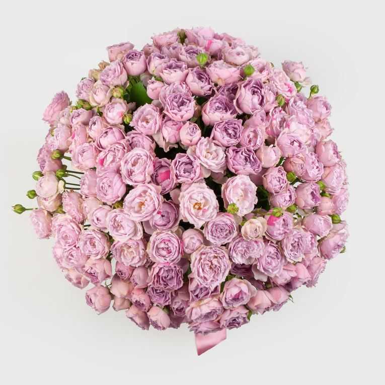 Букет из 51 кустовой розы Сила обольщения