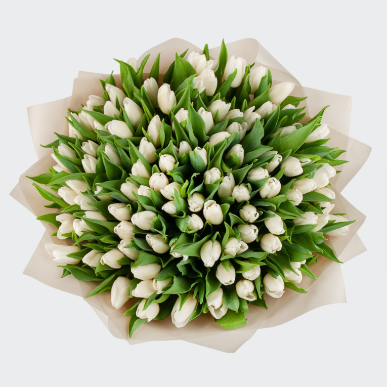 Букет 101 тюльпан Белое облако