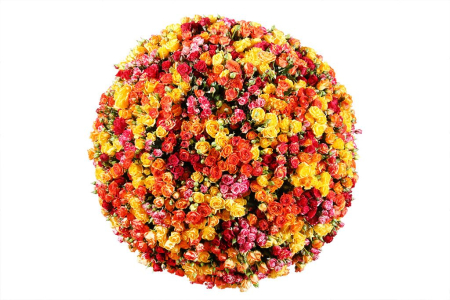 Букет 251 поцелуй в корзине