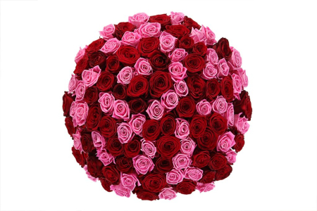 Букет Страсть и нежность, 101 роза