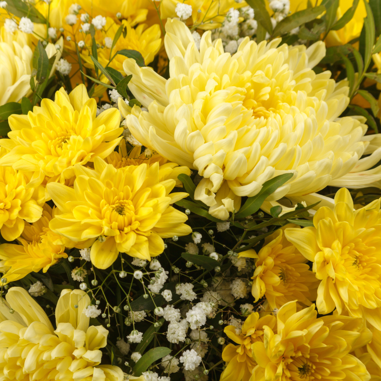 Букет Желтый бархат (миди)