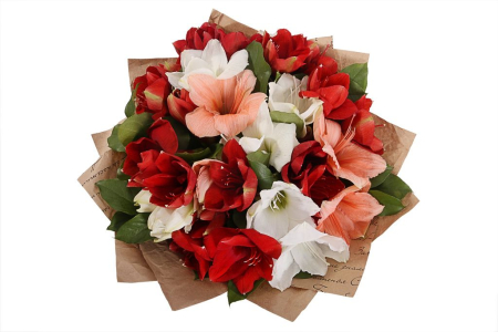 Букет с гиппеаструмами Один за всех