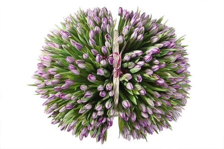 Букет Великая иллюзия в корзине