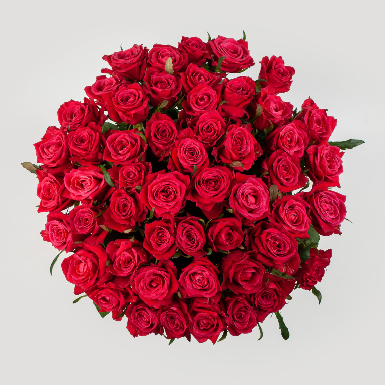 Букет из 51 розы Шангри-Ла