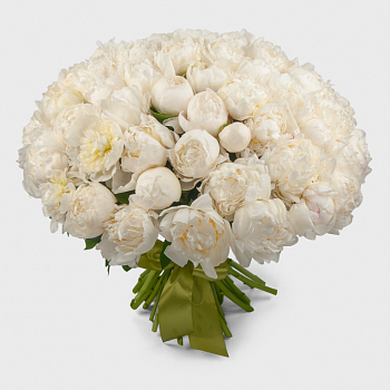 Букет 51 пион Белый жемчуг
