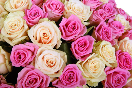 Букет Восхищение, 101 роза