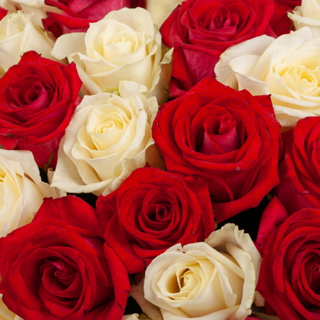 Букет из 101 розы Вера и любовь