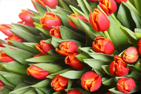 Букет На краю света в коризне