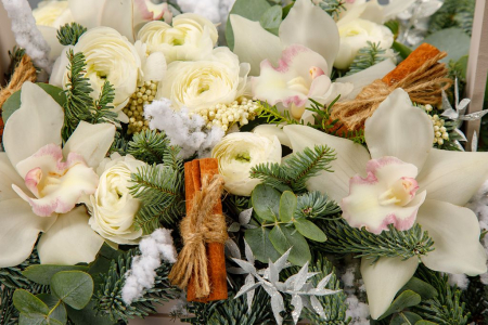 Композиция Снежная река