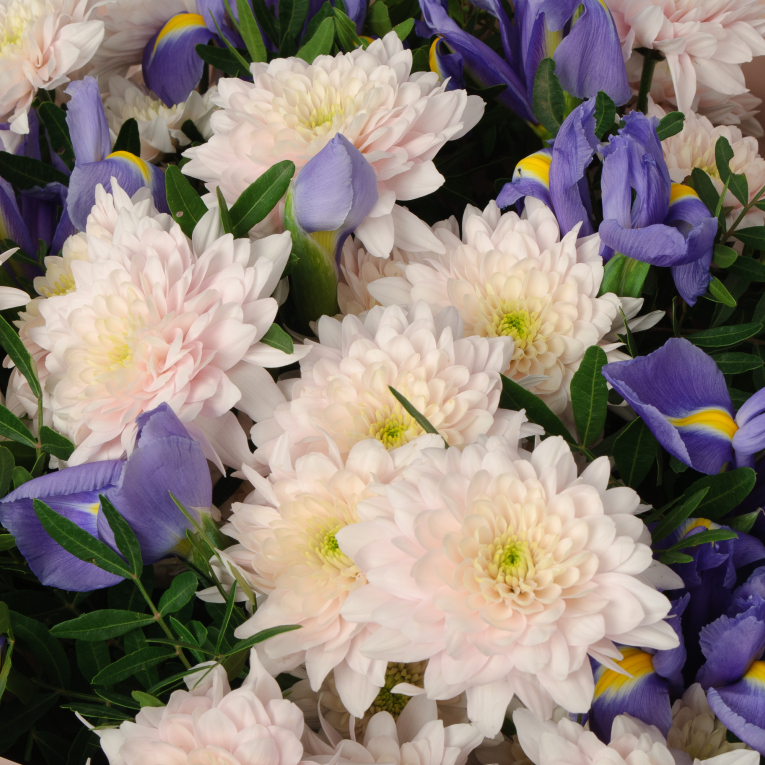 Букет Свежесть утра