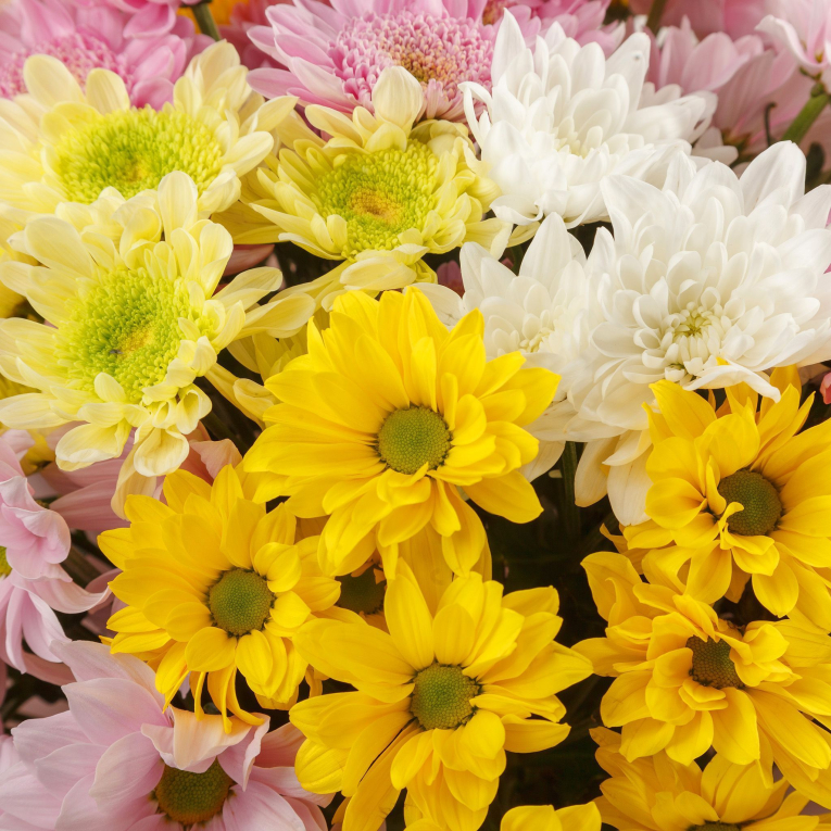 Букет Жизнь прекрасна