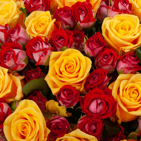 Букет роз Удивительное рядом