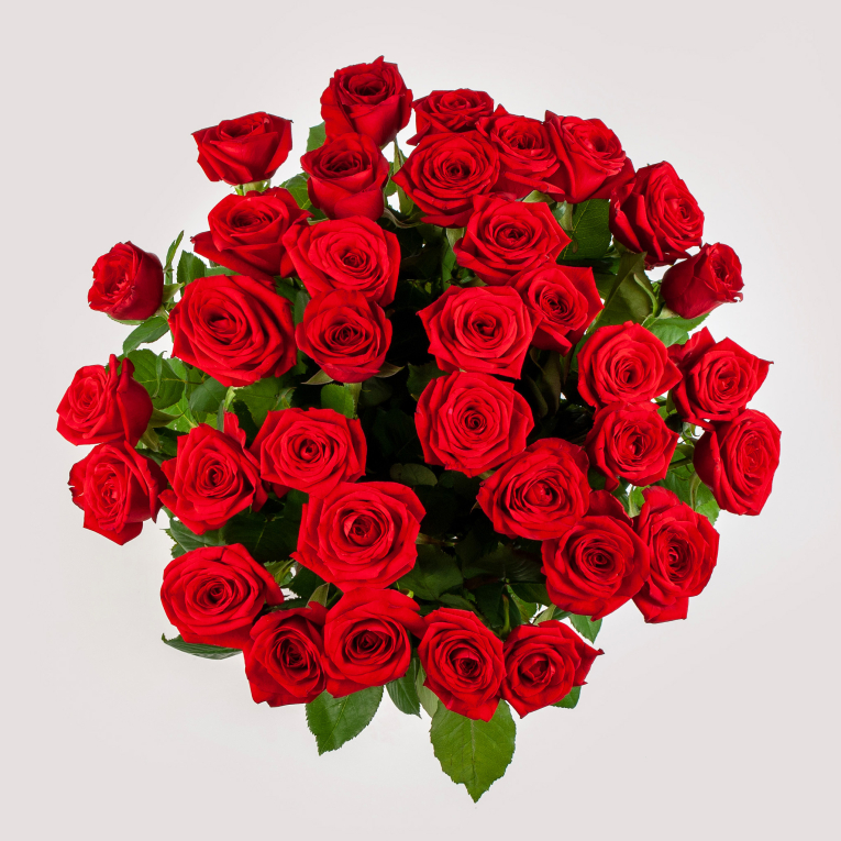 Букет 35 красных роз 60/70 см