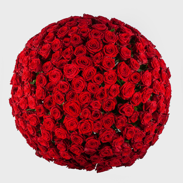 Букет в корзине Голос любви (251 роза)