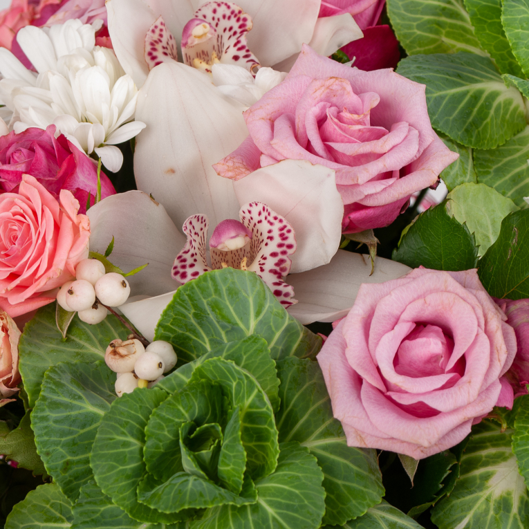 Композиция в кашпо Маленький садик