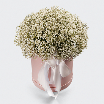 Букет в коробке Добрые сны