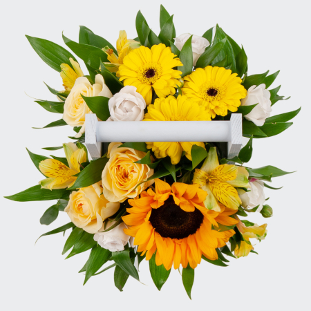 Букет в кашпо Солнце на ладони