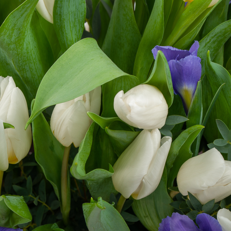 Букет в кашпо Апрельская любовь