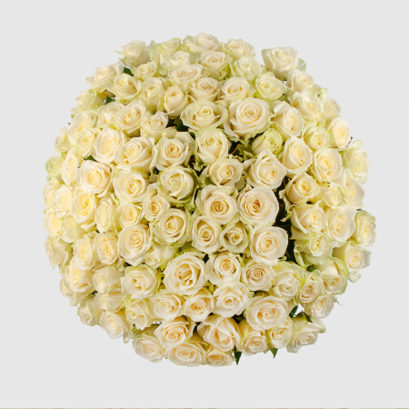 Букет из 101 розы Восторг любви