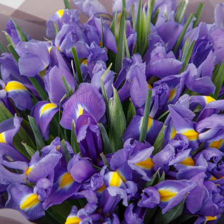 Букет из ирисов Пруд Мальвины