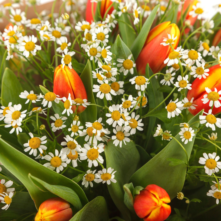 Букет Свежие краски