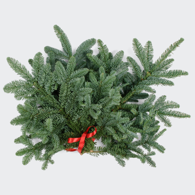 Нобилис (3 шт.)