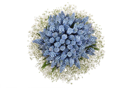 Букет Выше облаков