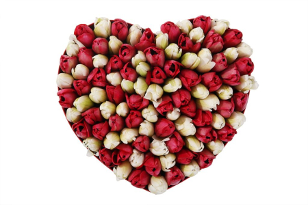 Композиция Весеннее вдохновение (макси), красно-белая