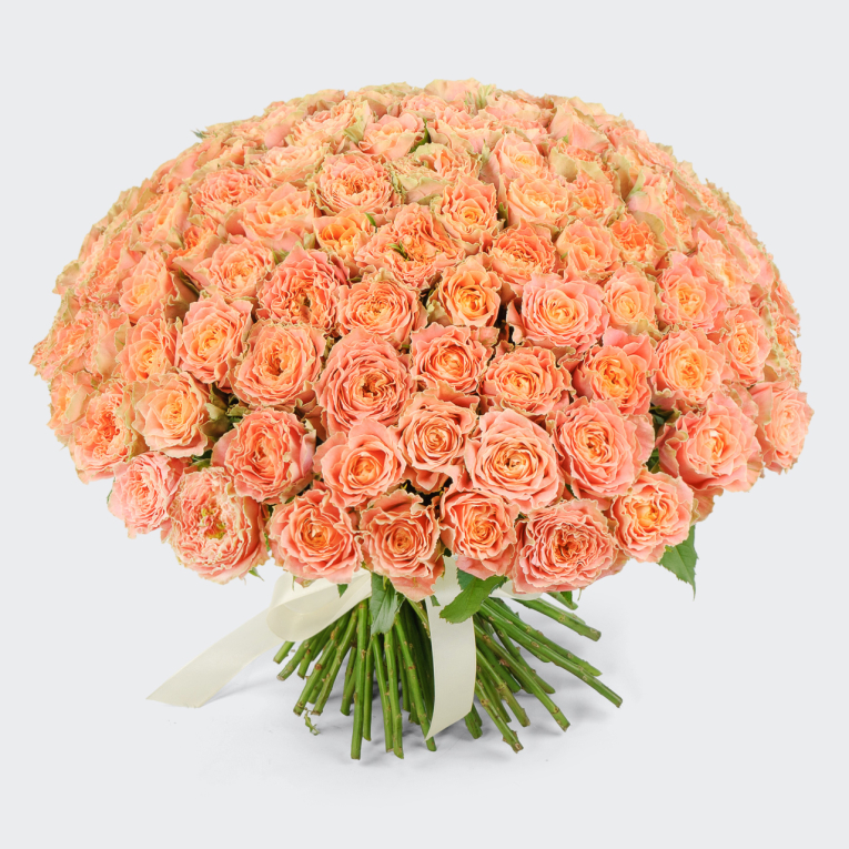 Букет из 101 розы Персиковое удовольствие